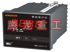 溫度表、數(shù)字顯示儀、濕度表