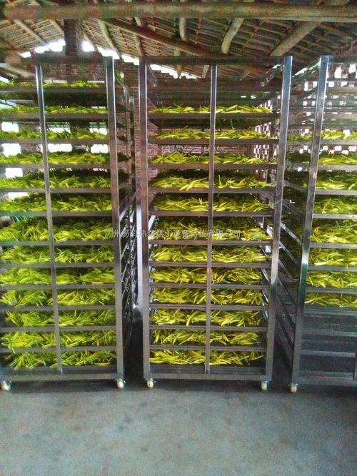 黃花菜烘干機、黃花菜烘干設(shè)備、黃花菜干燥機、黃花菜干燥設(shè)備、