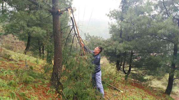 貴州開(kāi)元員工巡查高壓線(xiàn)路紀(jì)實(shí)